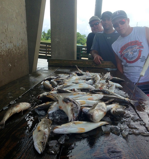 Biloxi, Mississippi Inshore Fishing